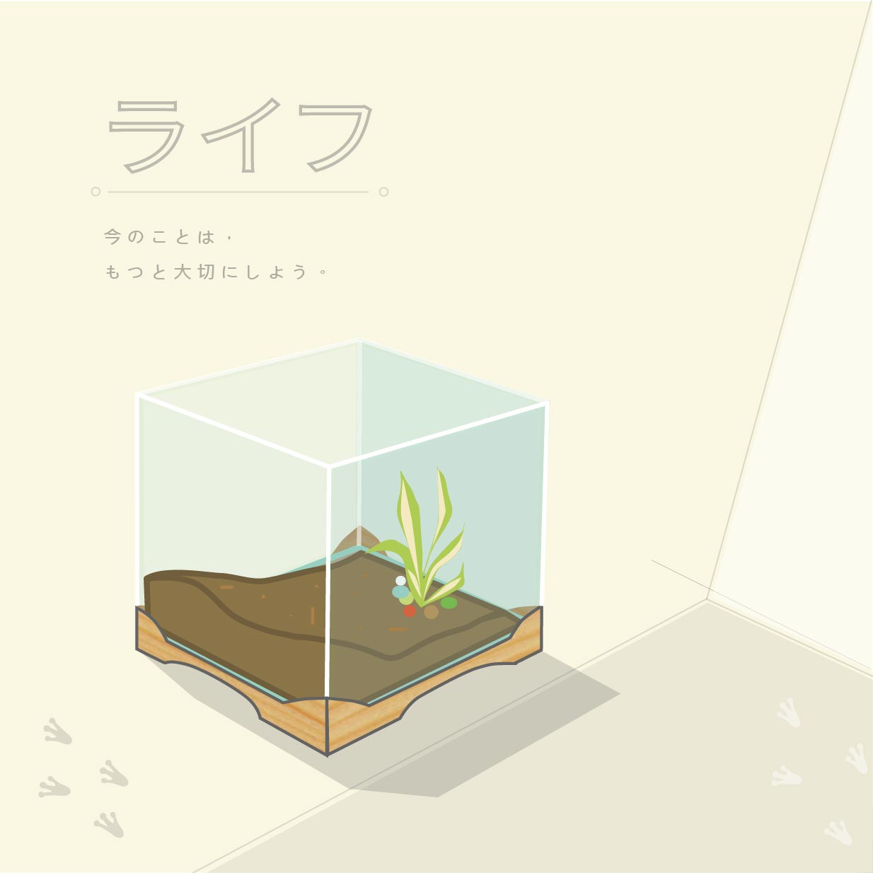 A little terrarium world — soil, grass and a frog's footprints